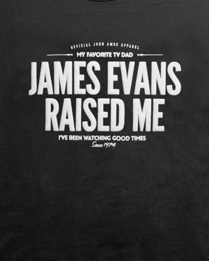 
                  
                    Load image into Gallery viewer, JAMES EVANS RAISED ME. HOODIE. (CHARCOAL) #myfavoritetvdad
                  
                